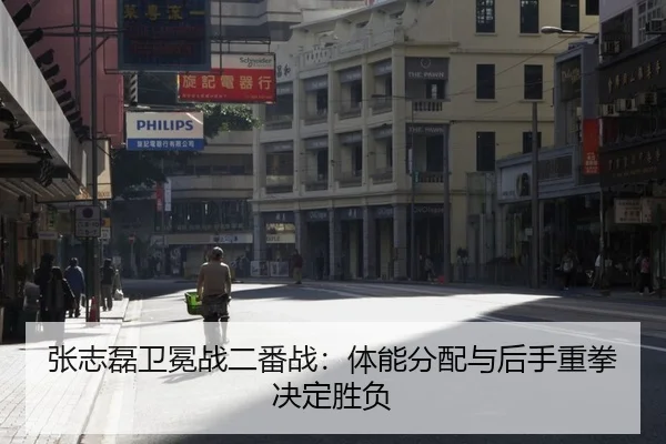 zhang-zhi-lei-wei-mian-zhan-er-fan-zhan-ti-neng-fen-pei-yu-hou-shou-zhong-quan-jue-ding-sheng-fu-2-302.jpg