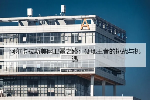 a-er-ka-la-si-mei-wang-wei-mian-zhi-lu-ying-di-wang-zhe-de-tiao-zhan-yu-ji-yu-2-693.jpg